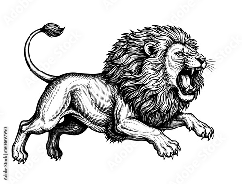 lion in a powerful pouncing position, with a flowing mane, drawn in an engraving style sketch engraving vector
