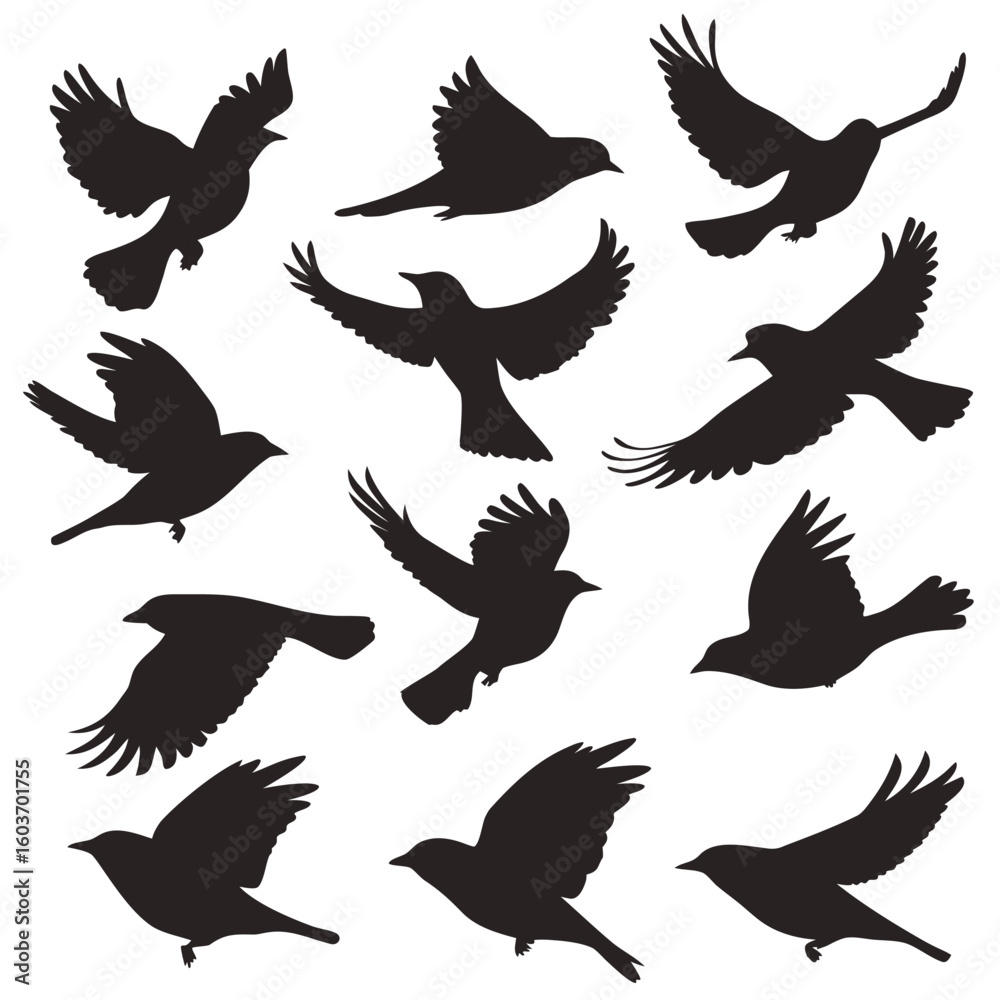 Fototapeta premium Dynamic silhouettes of birds in flight conveying freedom, nature, and elegant design elements