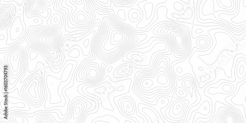 Abstract pattern with lines seamless pattern and topography map and counter map. abstract sea map area space geometric line technology topo landscape grid map texture.	