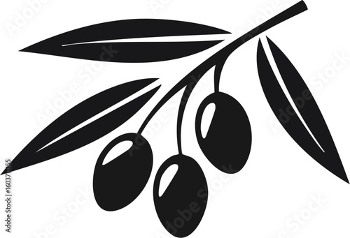 Minimalist olive branch with black olives and green leaves, perfect for healthy food, organic products, and Mediterranean-themed designs.

