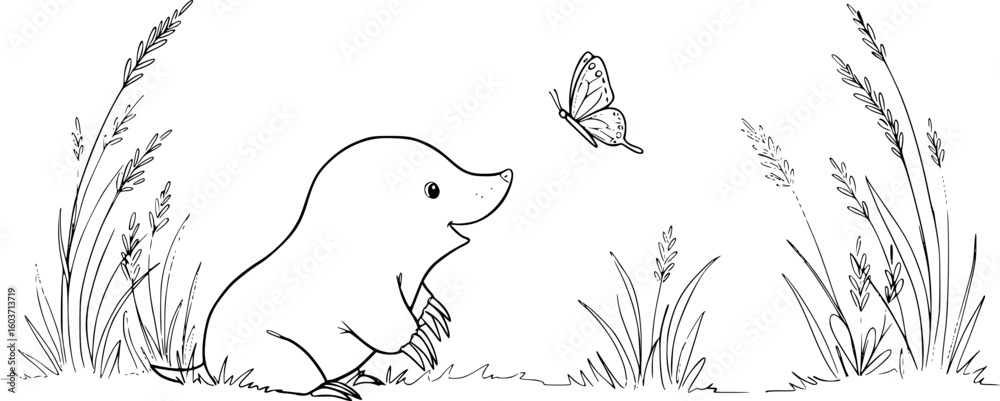 Obraz premium a cute mole watching a butterfly, simple line drawing, clear outlines, single line width, no fill color, black and white