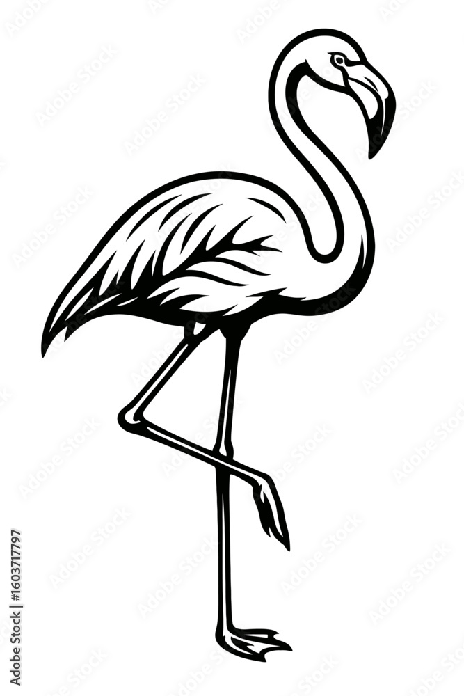 Fototapeta premium Flamingo Standing - Elegant Tropical Bird Symbol