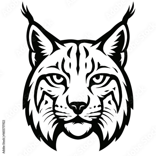 Lynx Wildcat Head - Fierce Feline Animal Portrait
