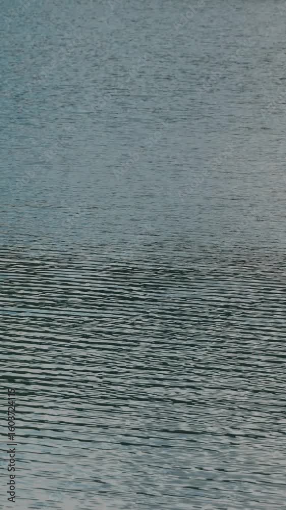 夏の湖の深いグリーンの静かな水面 夏の湖の深いグリーンの静かな水面