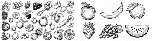Assorted fruits and vegetables sketches vector art. Food illustration, healthy eating, organic, raw, diet, fresh, grocery, agriculture, market produce.