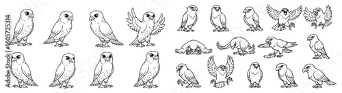 Cartoon hawks in various poses, simple line art. Birds of prey, falconry, avian, wildlife, predator, scavenger, strong, majestic, nature, design, illustration.