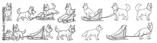 Husky dogs pull sled in cartoon style. Sled dog team, transportation, winter adventure, animal power