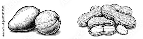 Mango and mandarin fruit with peanuts in shells. Healthy food, snack, vegetarian diet, nutrition, vitamins, organic, tropical, fresh.