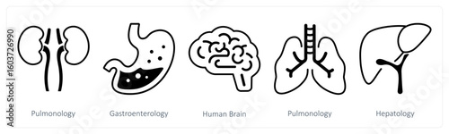 A set of 5 mix icons as pulmonology, gastroenterology, human brain