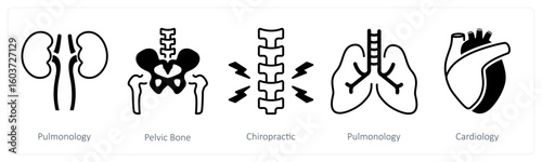 A set of 5 mix icons as pulmonology, pelvic bone, chiropratic