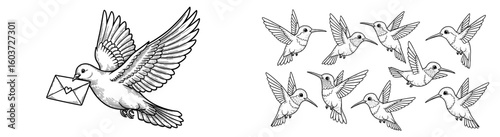Dove delivers love letter, hummingbirds fly around. Birds, messengers, romance, delivery, vector, art, illustration, love, peace, message, wildlife, nature, flying