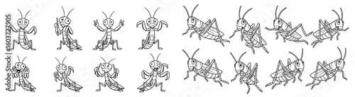 Cartoon grasshoppers show various poses. Insects, fun, cute, whimsical, nature, character, mascot, animation, illustration, design, insect, vector, comic