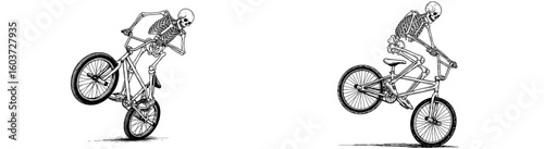 Skeletons ride BMX bikes. Death defying stunts, trick riding, extreme sports, Halloween themes, skeleton bike stunts, BMX culture, trick cycling.