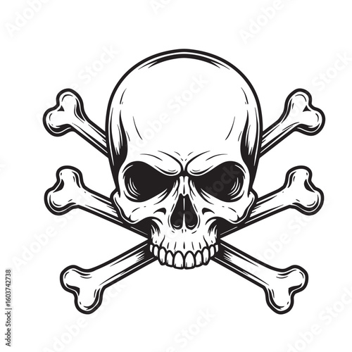 Human skull and crossbones vintage art human anatomy death