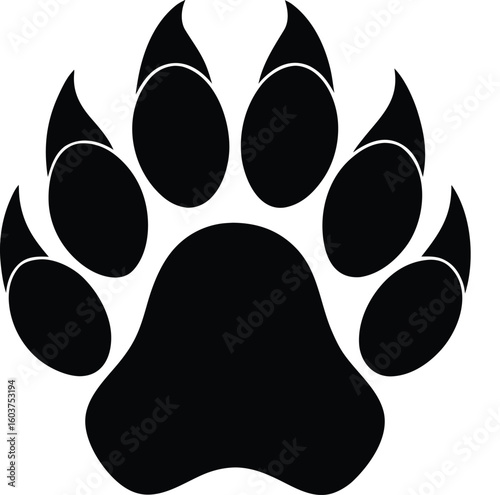 animal's paw