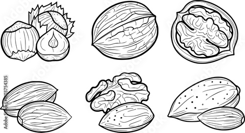 a set of black and white outline drawings of nuts, including hazelnuts, walnuts, almonds, vector illustration, simplicity

