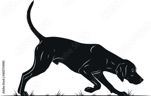 A black silhouette of a dog sniffing the ground with its tail up on a white background vector image