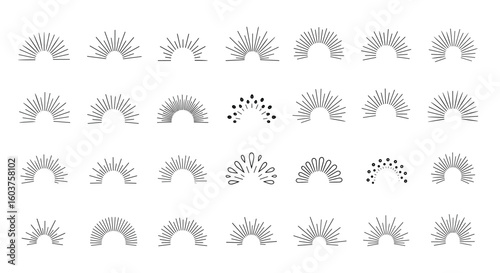 Abstract artistry exploring organic forms and natural textures with a delicate touch creating intricate patterns and elegant visuals