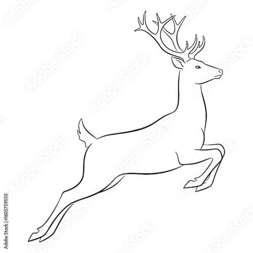 Antlered Deer Feature Shape - Deer vector - Deer Line art - Deer Drawing - Vector Lineart of Deer - deer logo - deer outline

