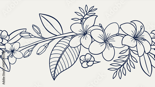 Floral border design with tropical plumeria flowers and leaves vector line art illustration element drawing