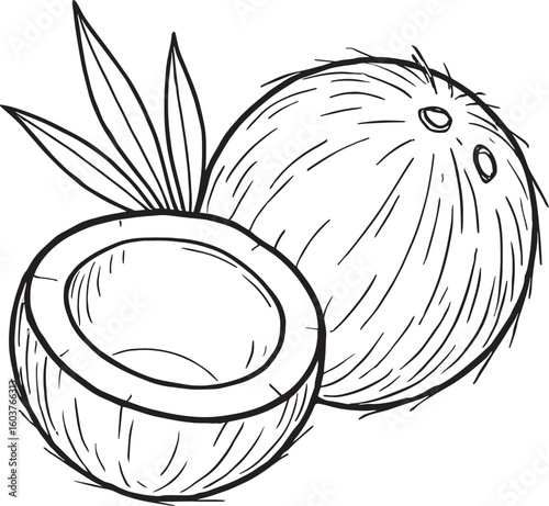 Whole and halved coconut with leaves fruit tropical