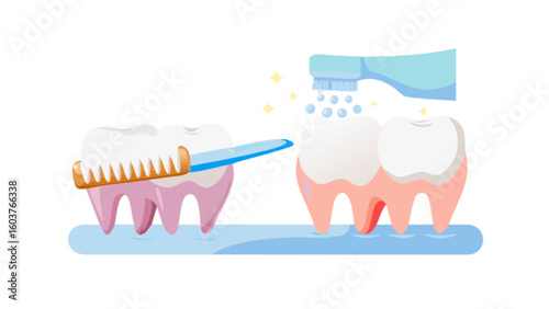 Toothbrushing dental care oral hygiene teeth cleaning routine for healthy gums and fresh breath concept