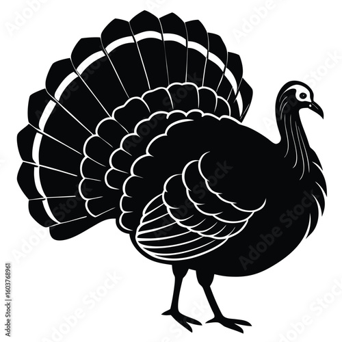 Silhouette of a strutting turkey with fanned tail feathers