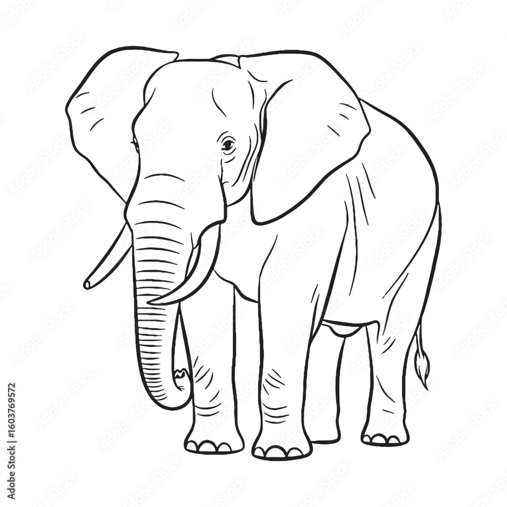 Fototapeta premium Grey-skinned Elephant Physical Makeup Figure - Elephant vector - Elephant Line art - Elephant Drawing - Vector Lineart of Elephant - elephant icon - outline of elephant