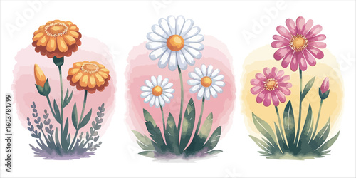 Vector art of three watercolor flower arrangements illustration
