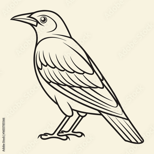 Outline Drawing Of A Full Body Myna Bird