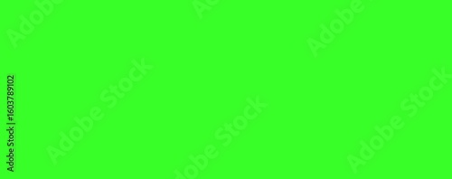 Camera flashing shutter star overlay green screen effect photography flash starburst sparkle shine photo click light burst transparent background chroma key video effect