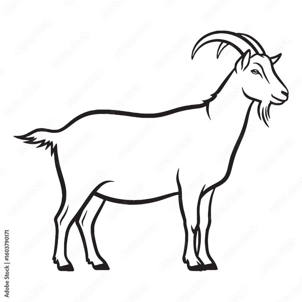 Fototapeta premium Profound Goat Inherent Nature Soul - Goat vector - Goat Line art - Goat Drawing - Vector Lineart of Goat - goat logo - goat outline