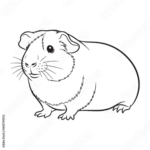 Profound Guinea Pig Inherent Nature Soul - Guinea Pig vector - Guinea Pig Line art - Guinea Pig Drawing - Vector Lineart of Guinea Pig - guinea pig logo - guinea pig outline

