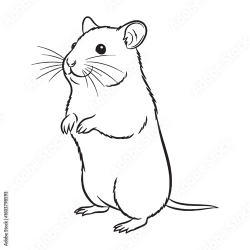 Authentic Hamster True Identity Phase - Hamster vector - Hamster Line art - Hamster Drawing - Vector Lineart of Hamster - hamster icon - outline of hamster

