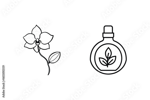 Orchid flower and botanical potion bottle vector