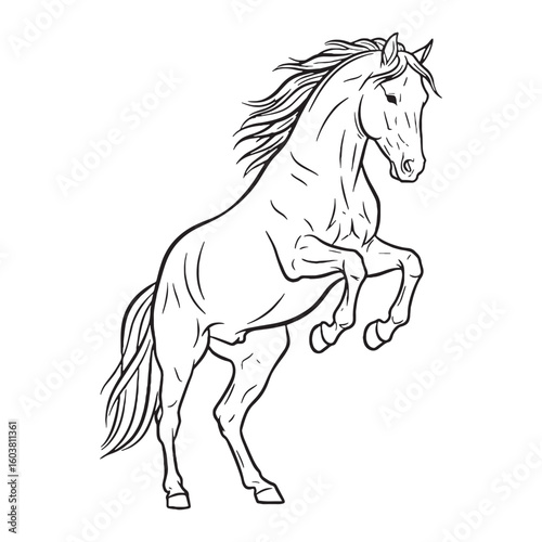 Firm Horse Durable Structure Aspect - Horse vector - Horse Line art - Horse Drawing - Vector Lineart of Horse - Horse icon - drawing of horse

