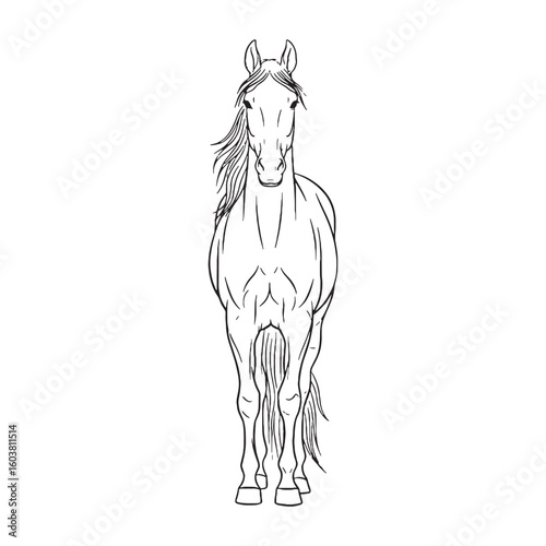 Primary Horse Defining Attribute Mark - Horse vector - Horse Line art - Horse Drawing - Vector Lineart of Horse - Horse illustration - vector of horse

