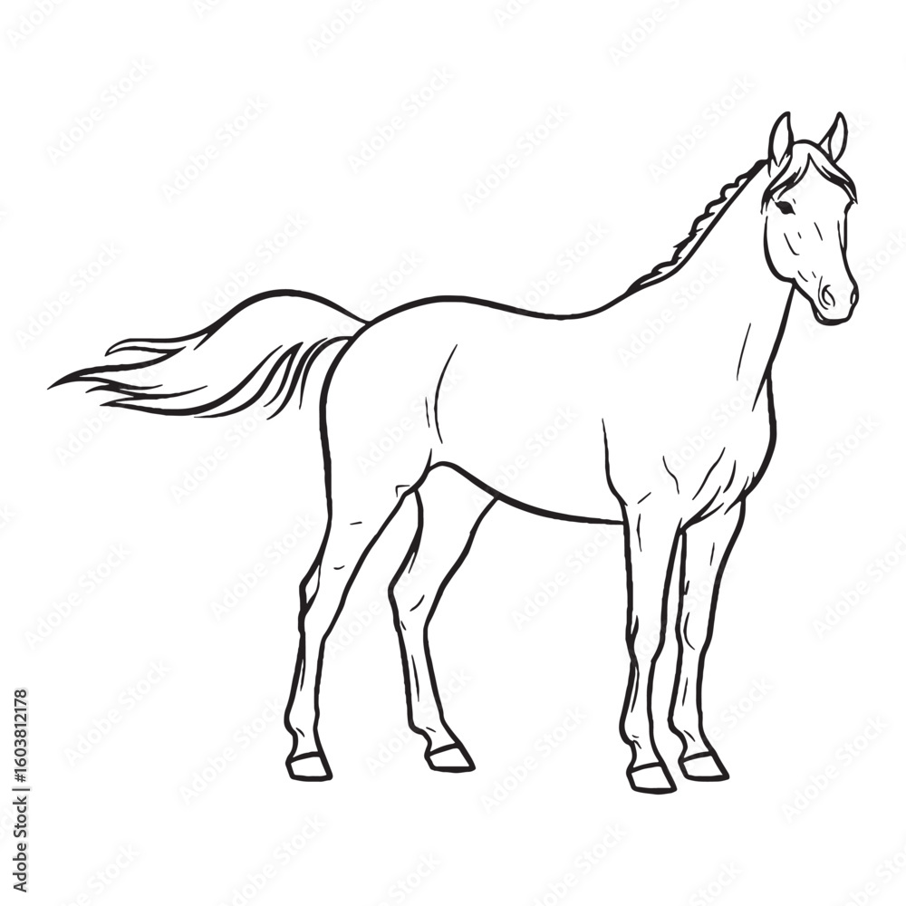 Obraz premium Noble Equus Being Attribute - Horse vector - Horse Line art - Horse Drawing - Vector Lineart of Horse - Horse icon - drawing of horse