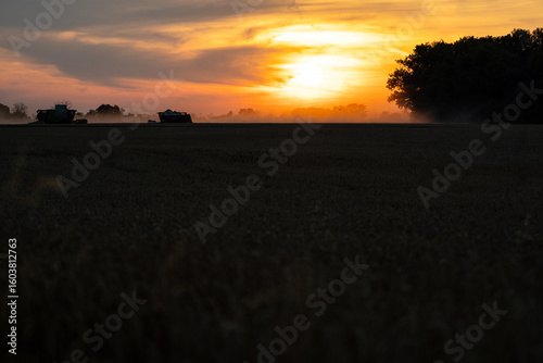 Grain harvest at late sunset
