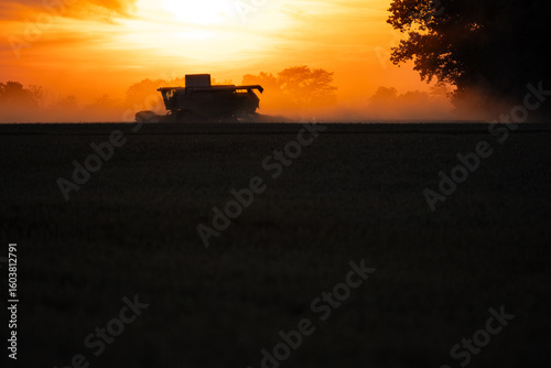 Grain harvest at late sunset