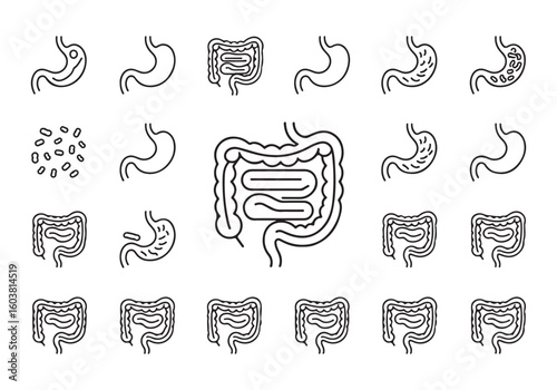 Digestive System Organ Icons Set Representing Stomach Intestines and Gut Bacteria for Medical and Educational Purposes