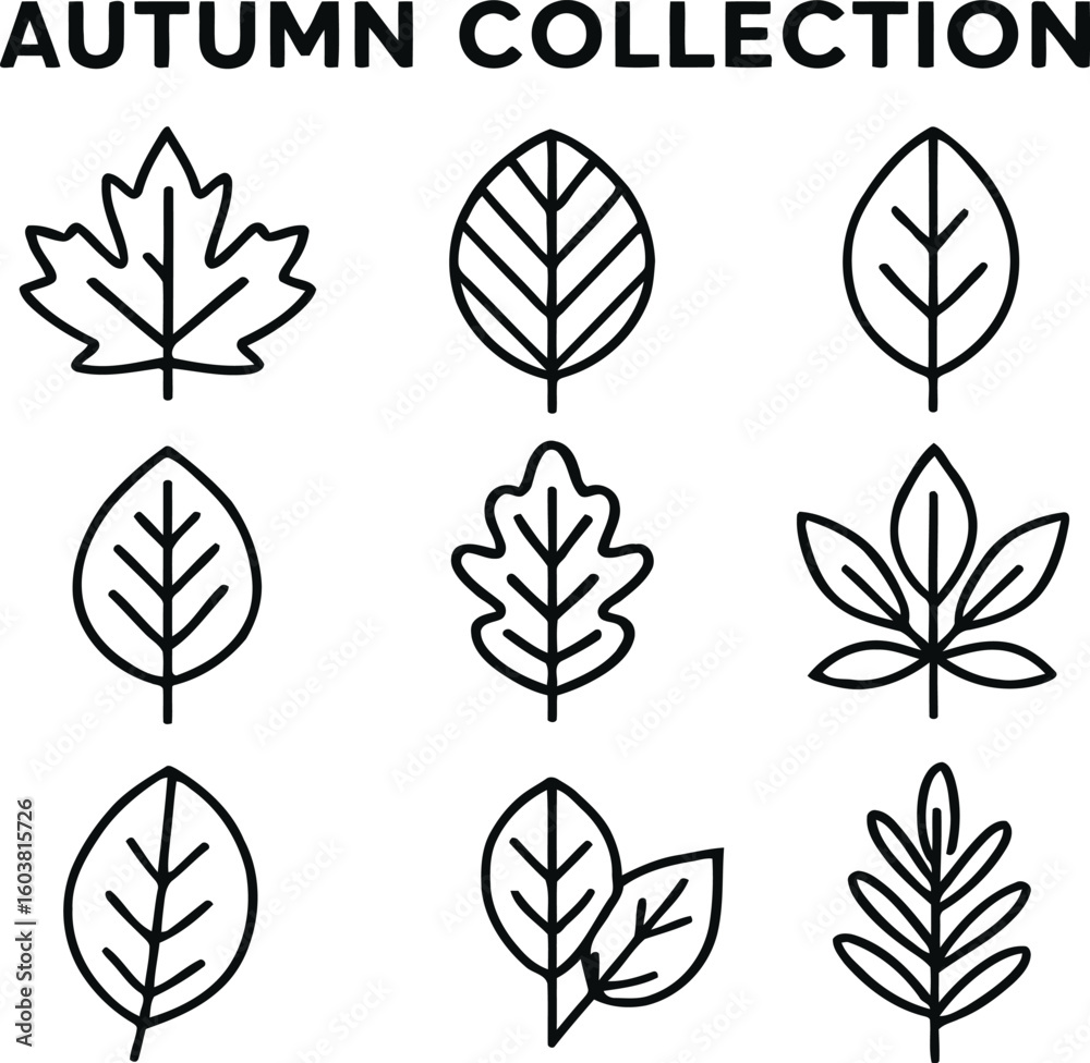 Fototapeta premium Autumn Leaves Icon Set – Minimal Line Style Fall Leaf Collection Vector Design
