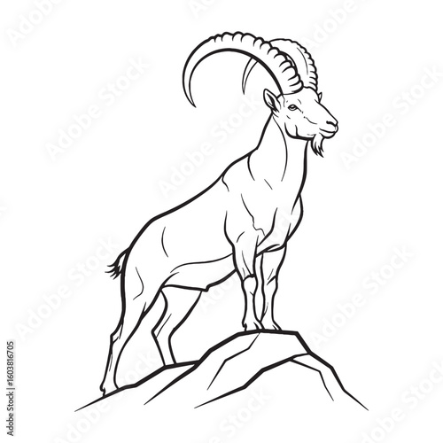 Ultimate Ibex Untamed Spirit Vision - Ibex vector - Ibex Line art - Ibex Drawing - Vector Lineart of Ibex - Ibex illustration - vector of ibex

