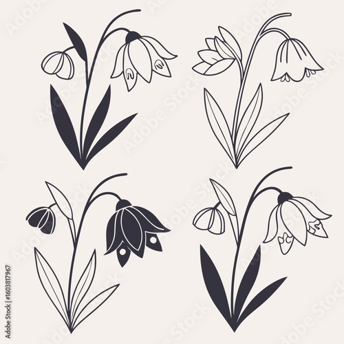Elegant botanical illustrations of bell shaped flowers in silhouette and line art styles on a soft cream background
