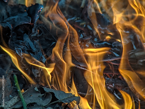 Vibrant golden and orange flames dancing through dark, charred leaves and debris, creating a dynamic abstract background of heat and destruction.