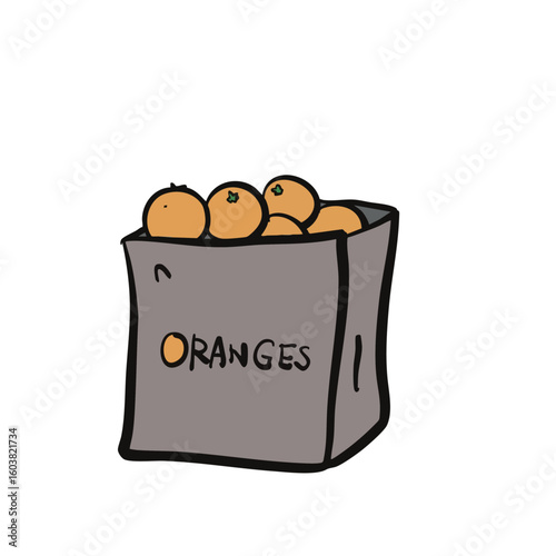 Organic Orange Fruit in Paper Bag – Cute Doodle Style