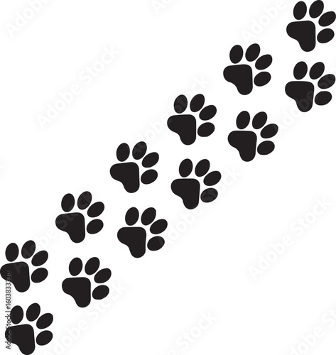 paw vector illustration