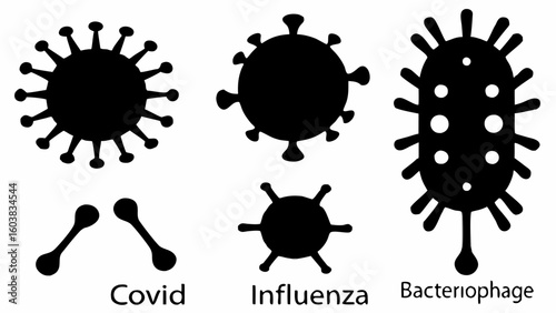 Illustration showing different types of viruses including covid influenza and bacteriophage shapes