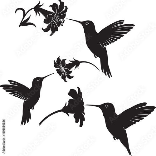A versatile vector set of flying bird silhouettes featuring diverse species like eagles doves and falcons ideal for nature inspired designs and illustrations