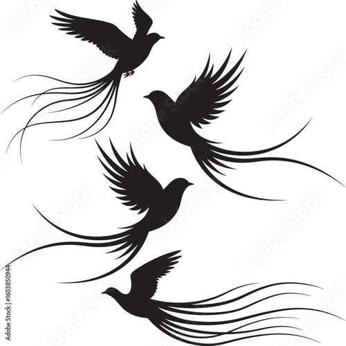Vector silhouette illustrations of flying birds like eagles, hawks, and doves with outstretched wings, perfect for animal, nature, or tattoo designs